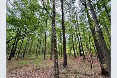 01 Titan Roberts Rd, Erwin, NC 28339 - Photo 11