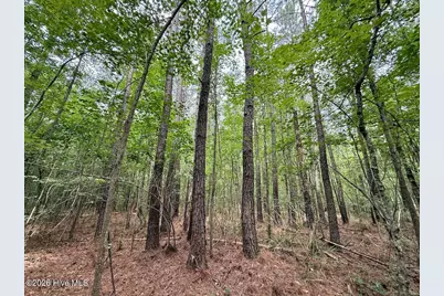 5930 Titan Roberts Road, Erwin, NC 28339 - Photo 9