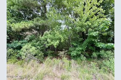 5930 Titan Roberts Road, Erwin, NC 28339 - Photo 35