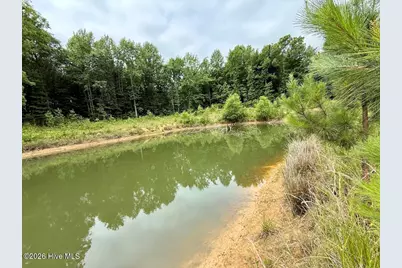 5930 Titan Roberts Road, Erwin, NC 28339 - Photo 5