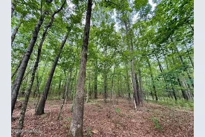 5930 Titan Roberts Road, Erwin, NC 28339 - Photo 51