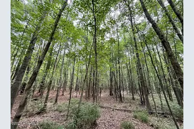 5930 Titan Roberts Road, Erwin, NC 28339 - Photo 7