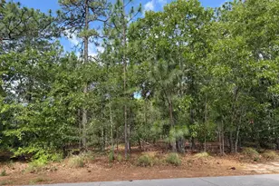 13 Kahkwa Trail, Pinehurst, NC 28374 - Photo 1