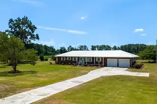593 Singletary Mill Pond Rd, Bladenboro, NC 28320 - Photo 47