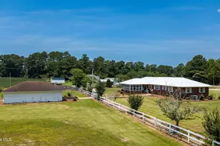 593 Singletary Mill Pond Rd, Bladenboro, NC 28320 - Photo 31