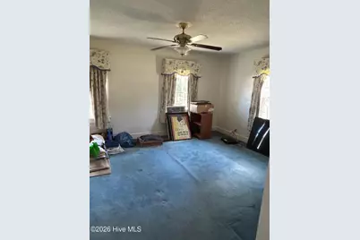 411 E Green Street, Macclesfield, NC 27852 - Photo 33