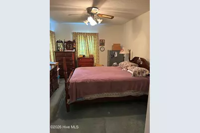 411 E Green Street, Macclesfield, NC 27852 - Photo 29