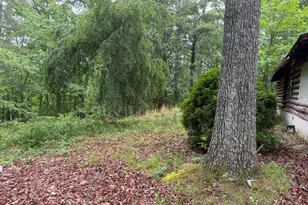 274 Snow Hill Ridge Rd, Murphy, NC 28906 - Photo 15
