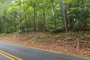 274 Snow Hill Ridge Rd, Murphy, NC 28906 - Photo 23