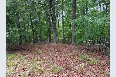 274 Snow Hill Ridge Road, Murphy, NC 28906 - Photo 1