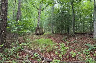 274 Snow Hill Ridge Rd, Murphy, NC 28906 - Photo 25
