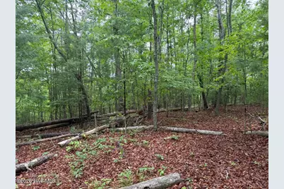 274 Snow Hill Ridge Road, Murphy, NC 28906 - Photo 29