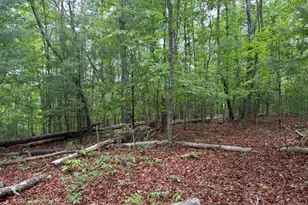 274 Snow Hill Ridge Rd, Murphy, NC 28906 - Photo 29