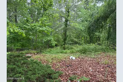 274 Snow Hill Ridge Road, Murphy, NC 28906 - Photo 17
