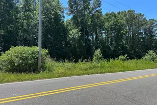 6147 Joe Brown Hwy N, Whiteville, NC 28472 - Photo 13