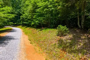 243 Jonquil Woods Rd, Franklin, NC 28734 - Photo 49