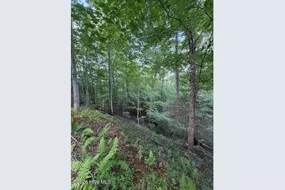 Lot 59 Quiet Mountain Trail, Murphy, NC 28906 - Photo 3