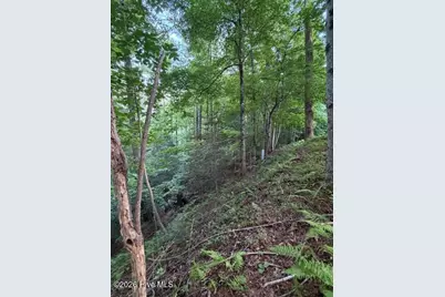 Lot 59 Quiet Mountain Trail, Murphy, NC 28906 - Photo 5