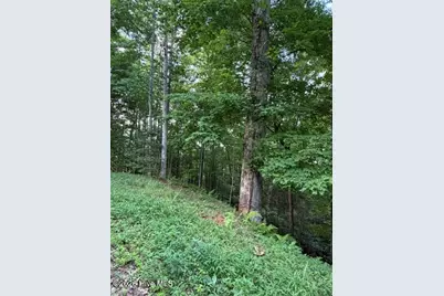 Lot 59 Quiet Mountain Trail, Murphy, NC 28906 - Photo 1