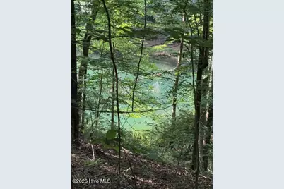 Lot 37 Quiet Waters Road, Murphy, NC 28906 - Photo 1