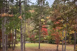 50 Kramers Knob Ln, Murphy, NC 28906 - Photo 29