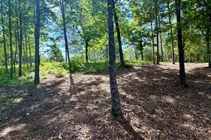 50 Kramers Knob Ln, Murphy, NC 28906 - Photo 39