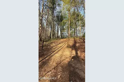30 Mouse Creek Trail, Murphy, NC 28906 - Photo 45