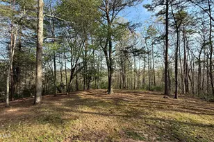 30 Mouse Crk Trl, Murphy, NC 28906 - Photo 15