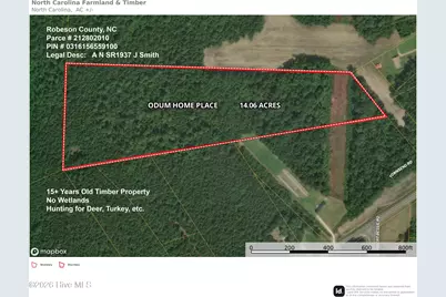 Lot 8 Odum Home Place Road, Saint Pauls, NC 28384 - Photo 1