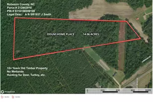 Lot 8 Odum Home Pl Rd, Saint Pauls, NC 28384 - Photo 1