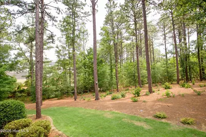 102 Greystones Court, Pinehurst, NC 28374 - Photo 53