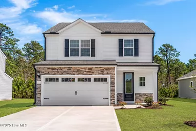123 Umbrella Palm Drive, Hampstead, NC 28443 - Photo 1