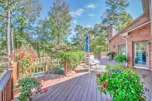 313 Live Oak Rd, Aiken, SC 29803 - Photo 11