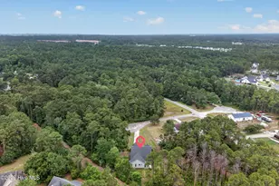 203 E Frampton Ct, Hampstead, NC 28443 - Photo 37