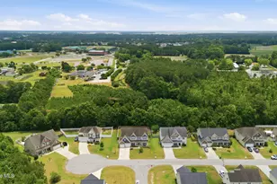 252 Watercrest Lndg Wy, Swansboro, NC 28584 - Photo 43