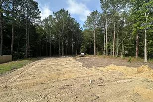 368 Bald Eagle Ln, Kenly, NC 27542 - Photo 11