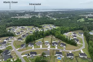 808 Colchester Reef Run, Sneads Ferry, NC 28460 - Photo 33