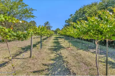 1701 Stanbury Road SW, Supply, NC 28462 - Photo 59