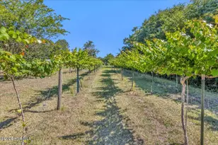1701 Stanbury Rd SW, Supply, NC 28462 - Photo 59