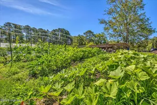 1701 Stanbury Rd SW, Supply, NC 28462 - Photo 65