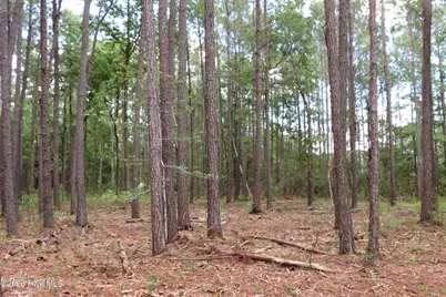 3231 Orchard Creek Road, Oriental, NC 28571 - Photo 13