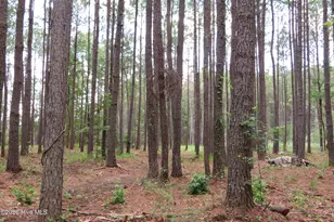 3231 Orchard Creek Rd, Oriental, NC 28571 - Photo 1