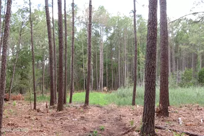 3231 Orchard Creek Road, Oriental, NC 28571 - Photo 11