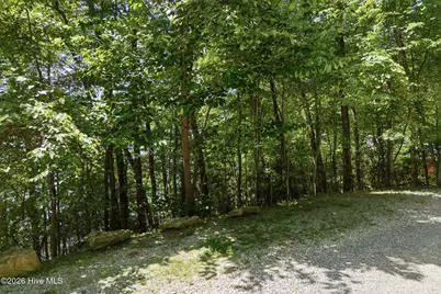 820 Chimney Ridge Drive, Topton, NC 28781 - Photo 63