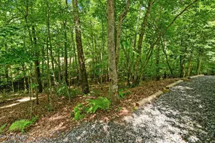 120 Covington Cove, Murphy, NC 28906 - Photo 29