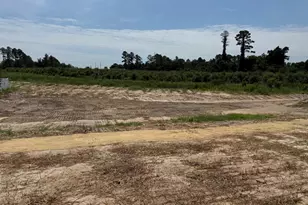 229 Seaford Ln, Aberdeen, NC 28315 - Photo 13