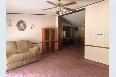 135 W Kerr Drive, Roanoke Rapids, NC 27870 - Photo 3