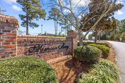 275 Mimosa Drive, Sneads Ferry, NC 28460 - Photo 53