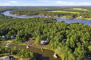954 Fork Point Rd, Oriental, NC 28571 - Photo 43