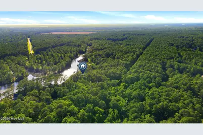 954 Fork Point Road, Oriental, NC 28571 - Photo 45